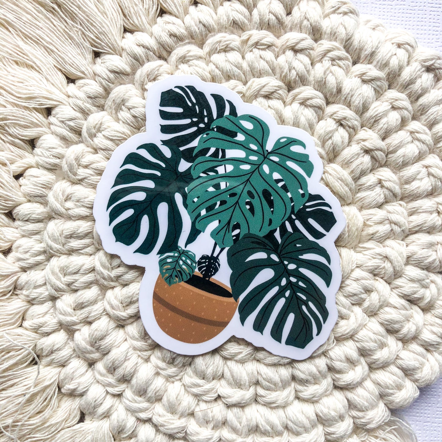 Monstera Plant Sticker