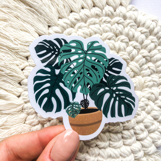 Monstera Plant Sticker